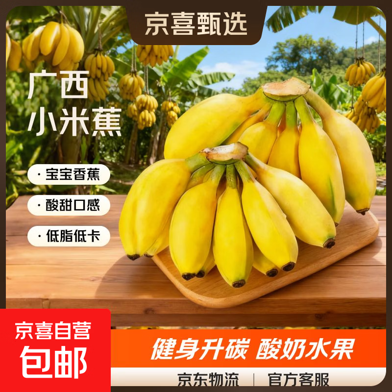 京喜加新鲜现摘正宗小米蕉皇帝蕉小香蕉软糯可口水果宝宝蕉 2斤 带箱