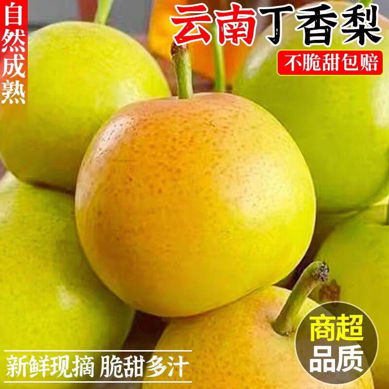 格沃斯(GEWOSI)云南丁香梨蜂糖梨小个纯甜应季新款水果批发梨子超市水果生鲜 丁香梨中果1斤装