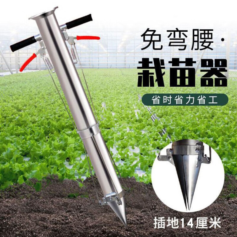 移栽 相关京东优惠商品排行榜 价格图片品牌优惠券 虎窝购