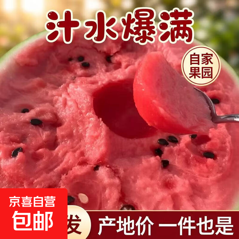 京东包邮正宗现摘薄皮麒麟西瓜新鲜采摘当季应季有籽水果批发 净重10-12斤装