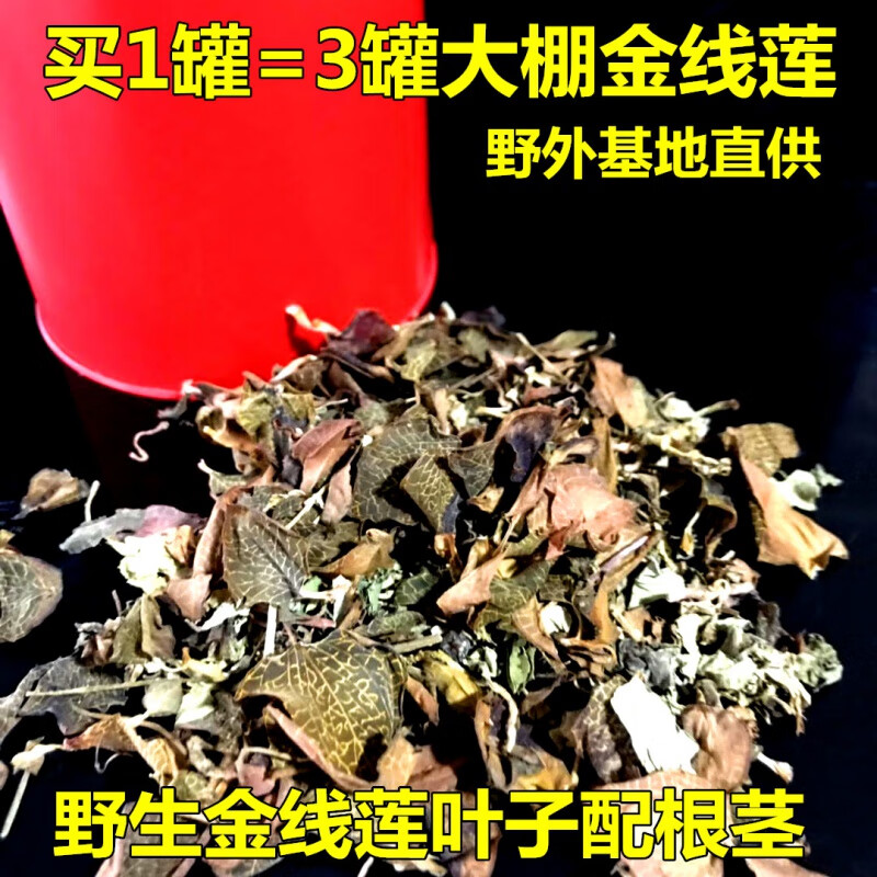 福建金线莲干品特级野生金线莲茶养生茶礼盒50g