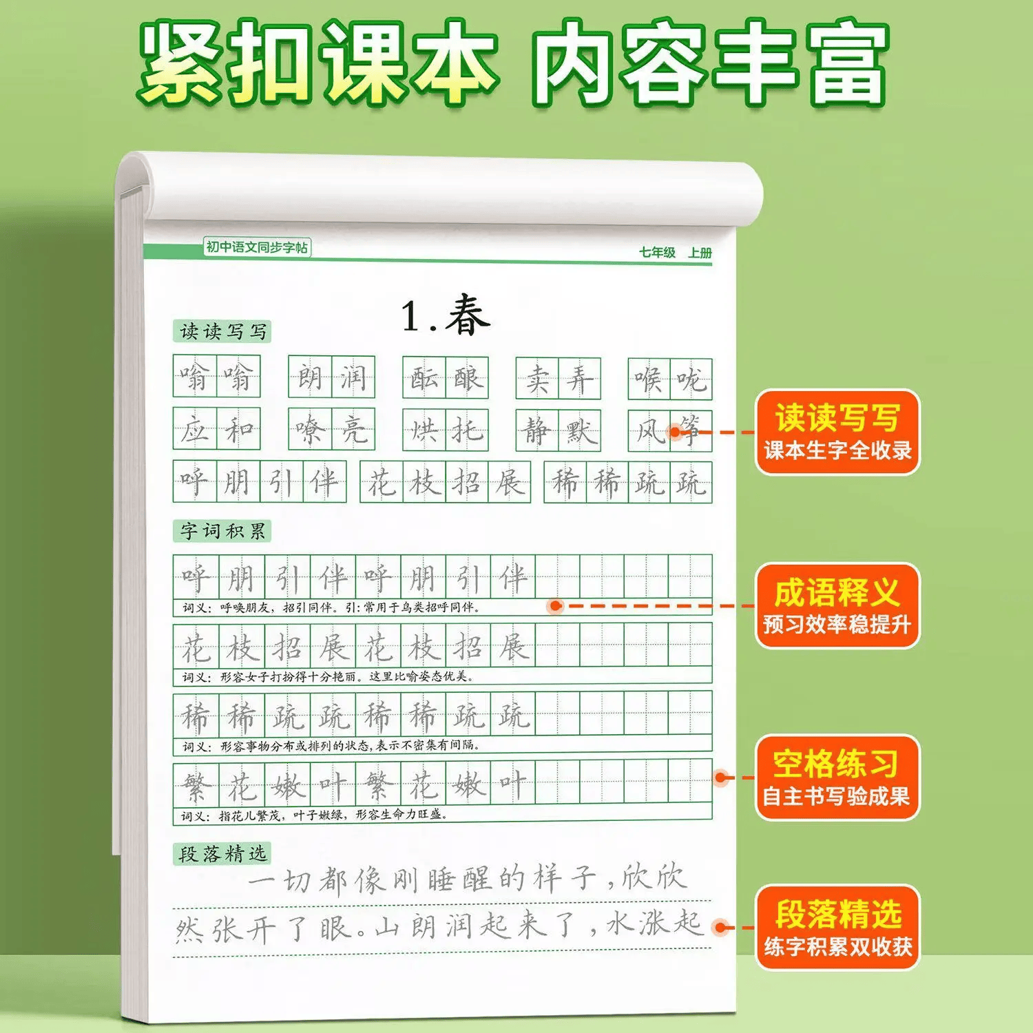金枝叶七年级八年级同步练字帖上册下册初中生语文字帖人教版小升初每日一练初一初二楷书正楷描红练字本 七年级上册同步字帖
