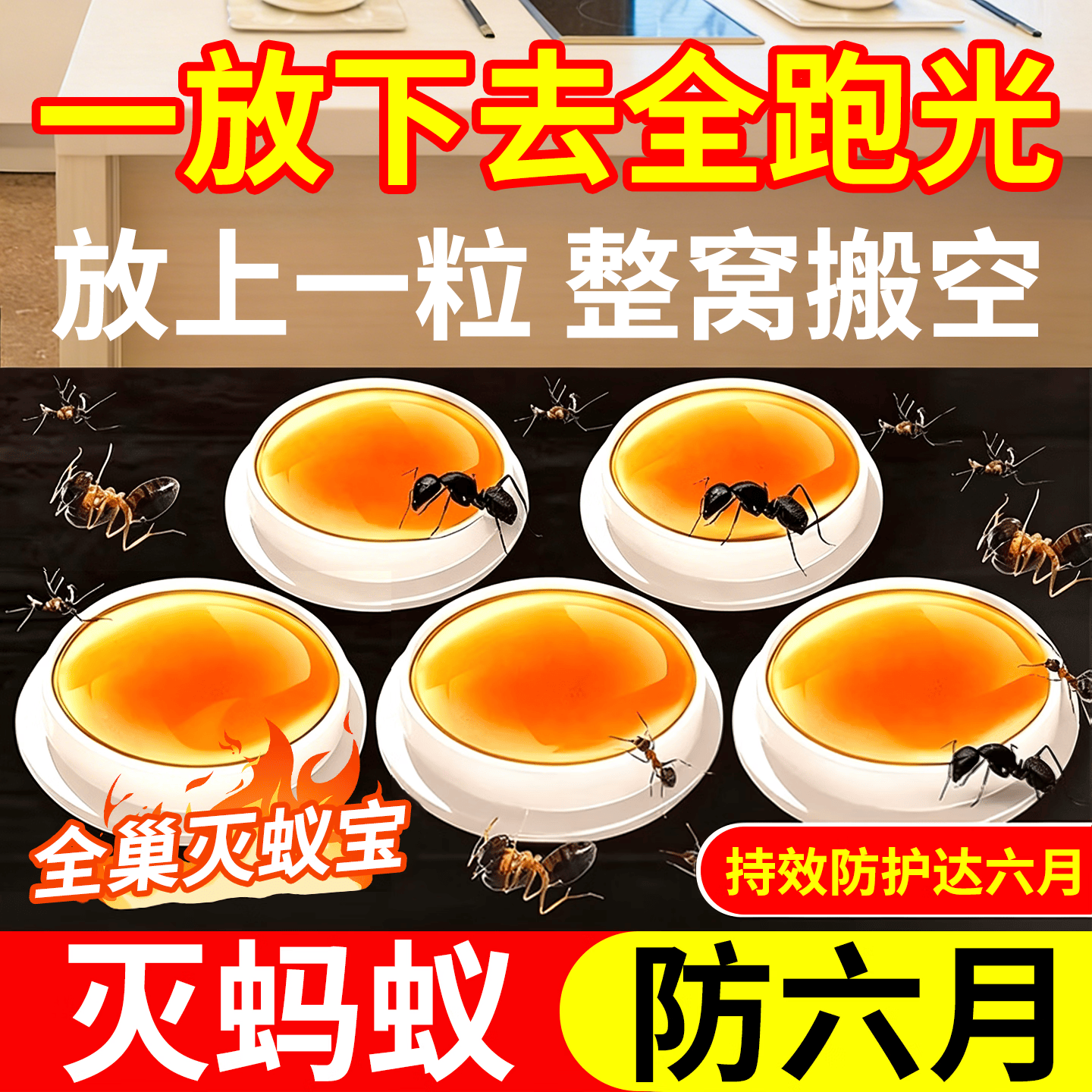 拥彩蚂蚁药胶饵10粒装一窝端蚂蚁专用特效药灭蚁杀蚁传染灭蚁家用神器