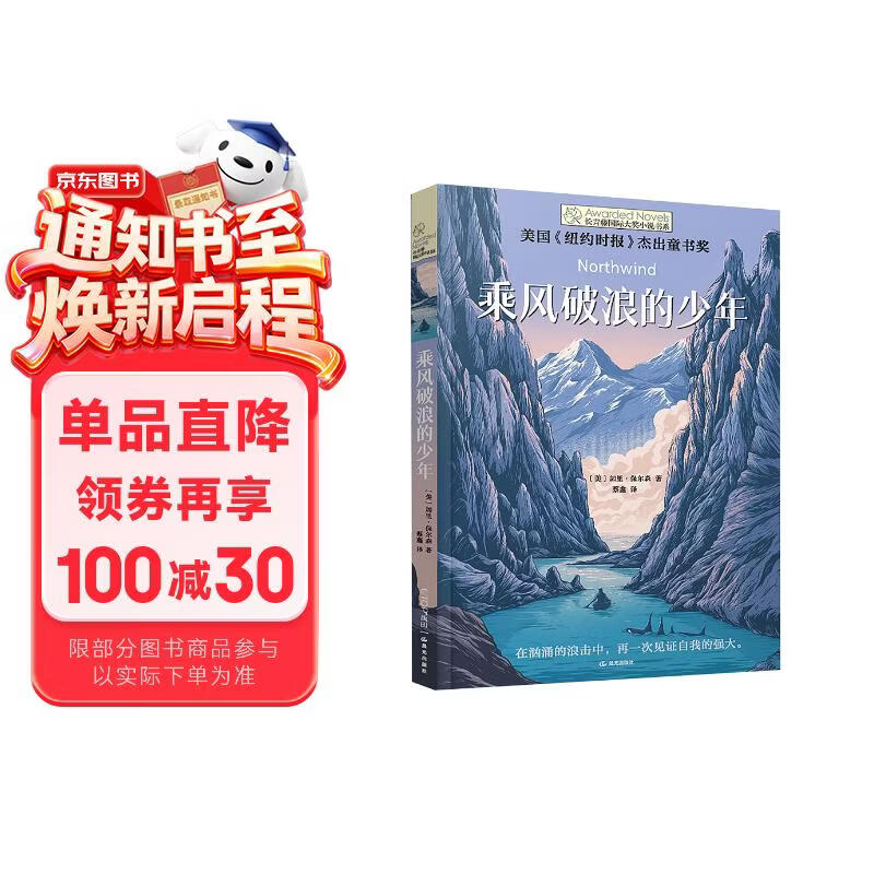 长青藤国际大奖小说乘风破浪的少年《纽约时报》杰出童书奖三四五六年级中小学生必读影响孩子一生的国际儿童文学奖经典名著课外阅读 
