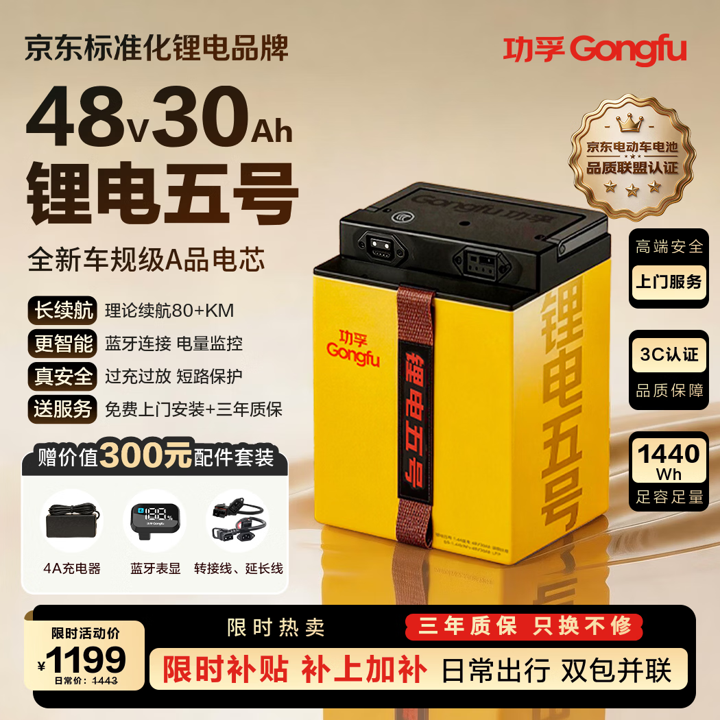 功孚锂电五号电动车锂电池48V30Ah大容量电瓶车电摩电池雅迪爱玛台铃