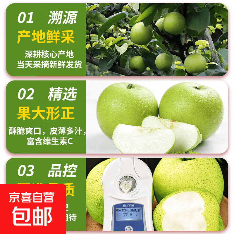 京喜加安徽砀山酥梨  入口酥脆甘甜润心 产地直发 新鲜水果现摘现发包邮 净重9斤带箱10斤-(单果200g+)