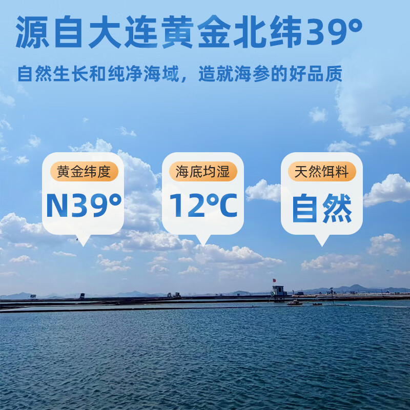 御乾荟大连海参生鲜即食海参固形物超80%食材海参礼盒9-12头(2斤装)