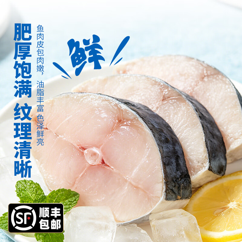 潮夫道一夜埕马鲛鱼扒 野生海捕鲅鱼段鲜切低脂高蛋白全中段鱼片鱼排 一夜埕马鲛鱼扒500g*4