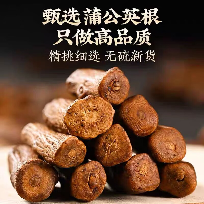 蒲公英特级无熏硫蒲公英根人工筛选去除细碎根段完整粗根干净无杂质 当日发货蒲公英根 500g*1袋