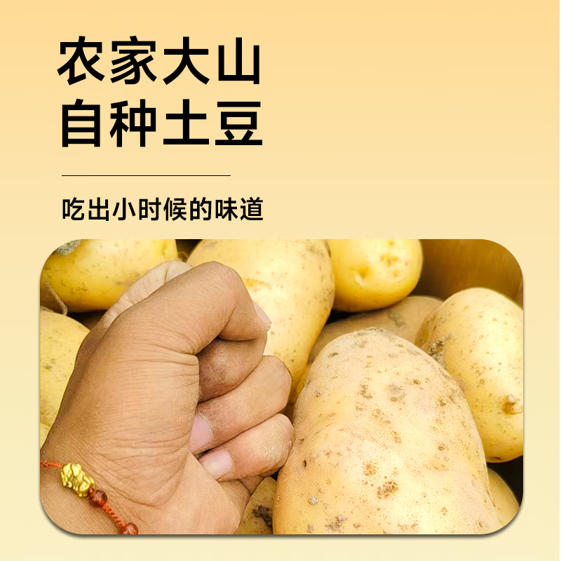 当季土豆甘肃定西黄皮沙面开花土豆马铃薯蔬菜洋芋新鲜农家现挖 1斤 严选中果