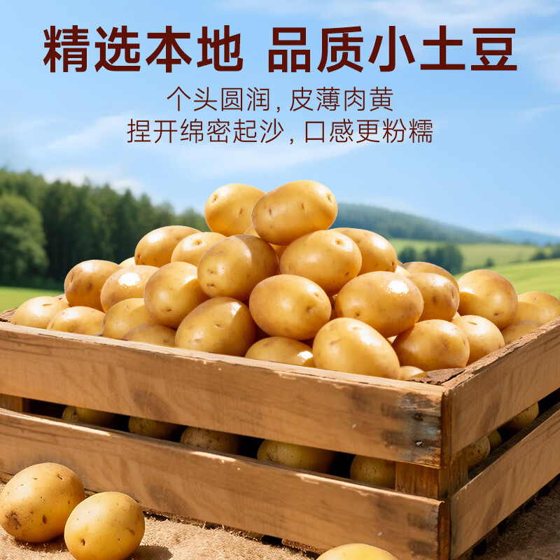 味滋源高山小土豆香辣孜然味原切土豆代餐粗粮办公即食解馋饱腹休闲零食 高山小土豆两斤装【混合口味】