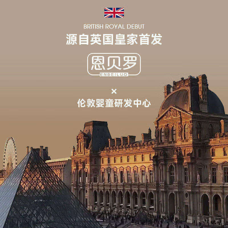 恩贝罗英国烧水杯便携式电热水杯usb恒温保温电热壶差旅烧水热水壶车载户外 0.6L 插电款【304内胆】+六档调温
