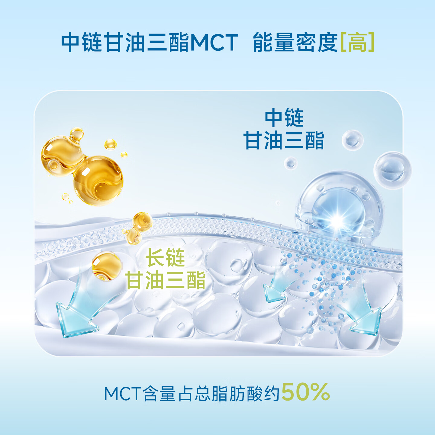 力存优太短肽特殊医学用途全营养配方食品好吸收术后速补失能老人化疗 营养师推荐 正品 400g*2罐 【约省10元】