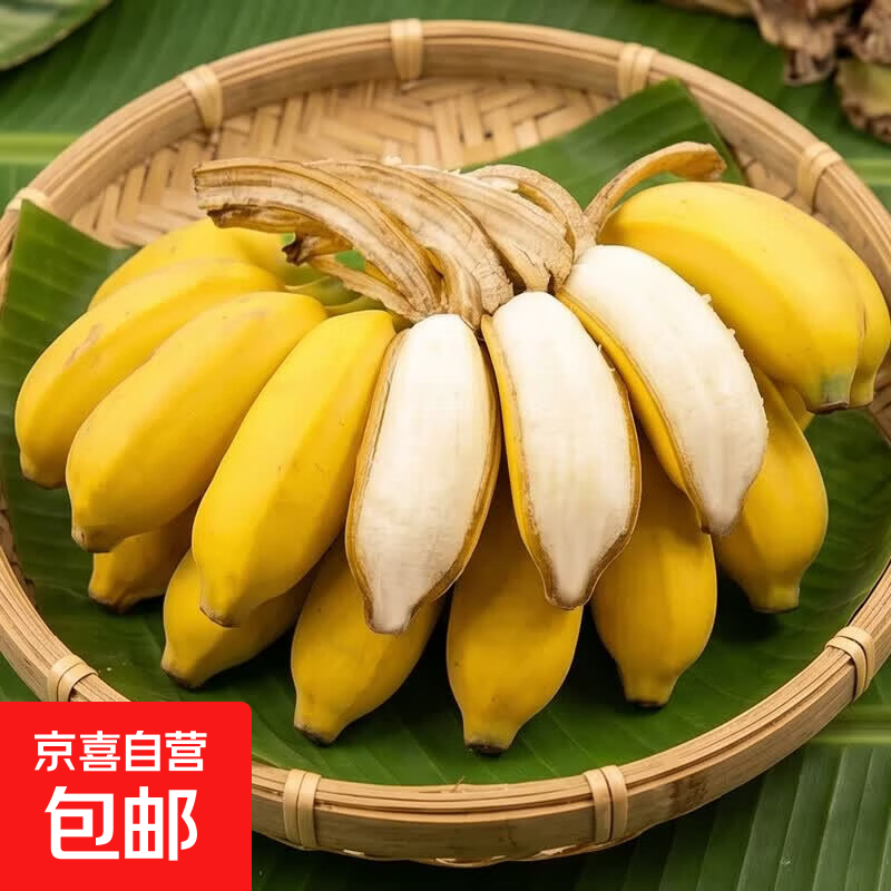 京喜加广西爆甜小米蕉新鲜香蕉软糯香甜小香蕉当季水果皮薄肉厚现摘现发 广西小米蕉 净重9斤