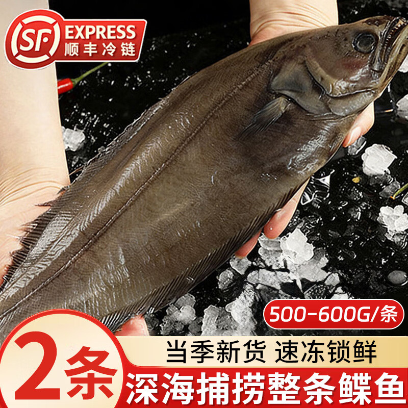 深海鲽鱼整条比目鱼冷冻碟鱼大鸦片鱼500-600g/条 偏口鱼海鲜水产 【深海捕捞】鲽鱼500-600g*2条