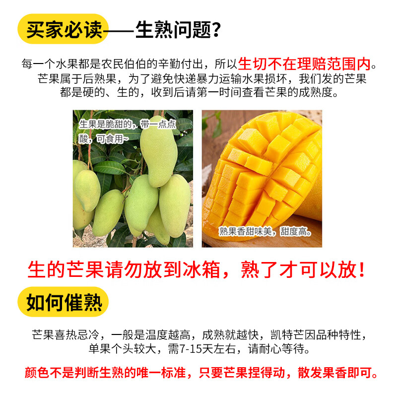 落沙园攀枝花凯特芒新鲜水果香甜可口肉厚多汁大果现摘现发 9斤分享装[多人分享装-较划算]净8.5斤 A+级精选大果[单果300g+]甜