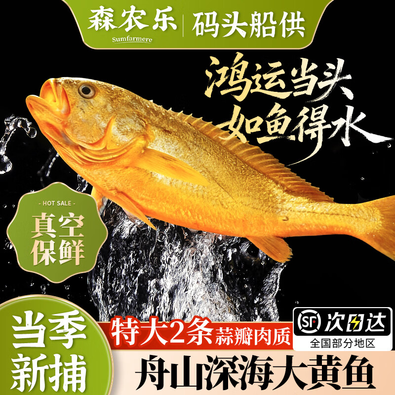 森农乐深海大黄鱼礼盒舟山东海半野生小黄花鱼生鲜活冻冰鲜水产礼包商用 2条无礼盒【每条净重1.3-1.5斤】