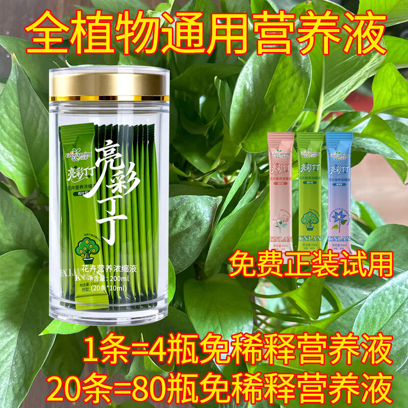 亮彩丁丁观叶型植物浓缩营养液绿萝发财树养护叶片适用水培土培 观叶 京东折扣/优惠券