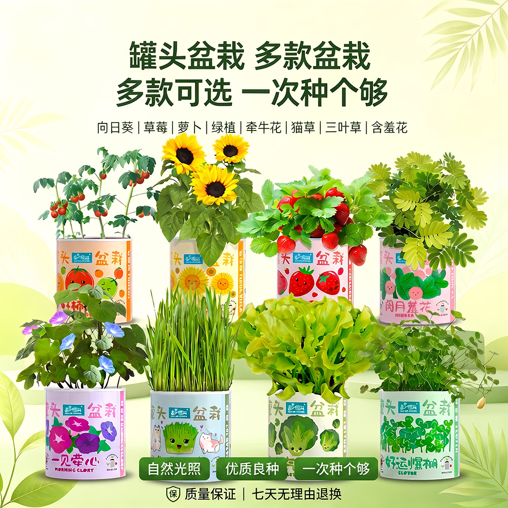 IAM City Farmer番茄罐头盆栽儿童种植小盆栽幼儿园植物绿植科学试验观察种植作业 【和气生财】生菜种植罐头 套装