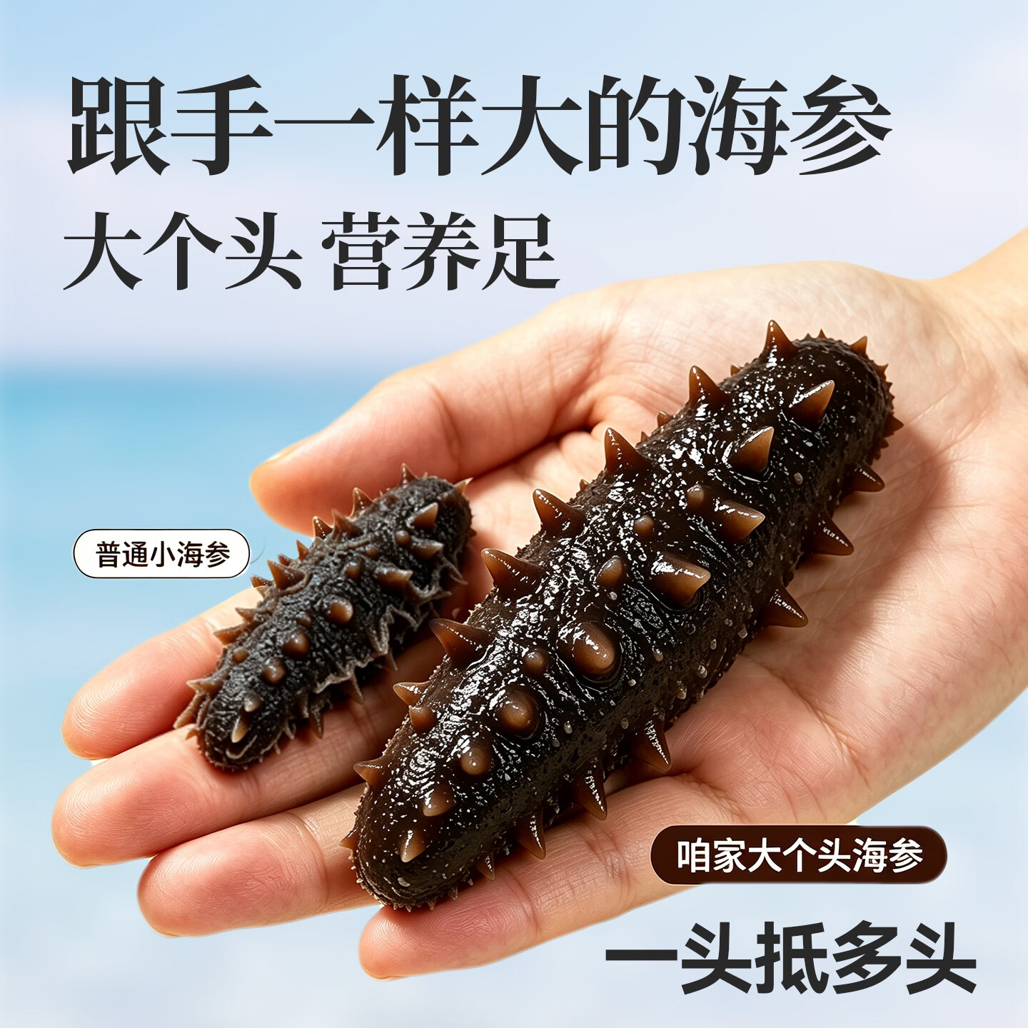 高小参即食鲜食海参高品质独立包装原生态海域礼盒装送礼2.5kg抖音同款 2500g家庭装共25-30头(普通盒装无礼盒)