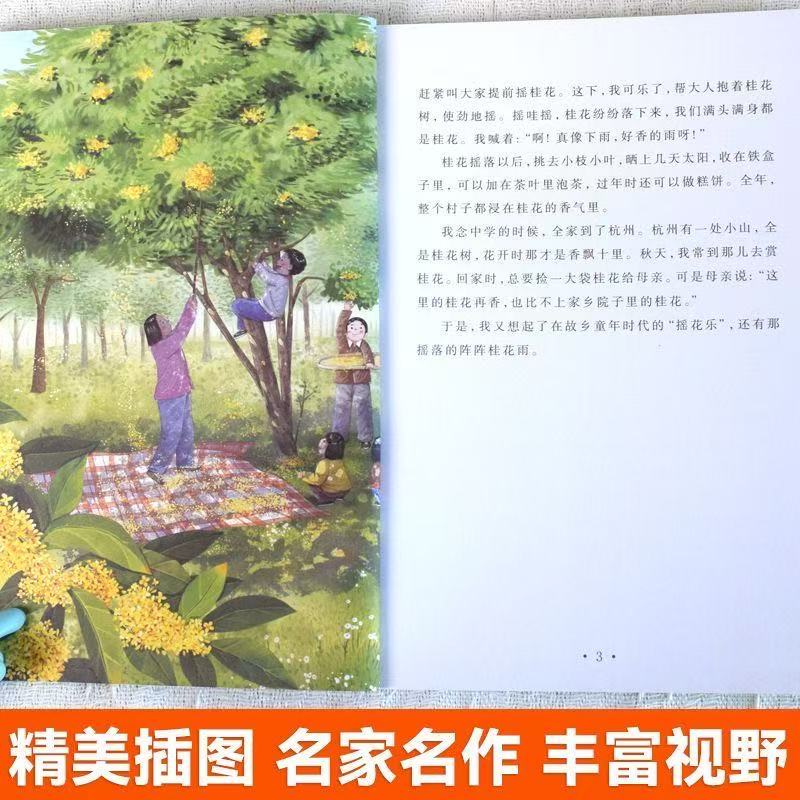 【当当正版】课本作家带你读三年级上册 阅读课外书籍配套人教版必读读物老屋大青树下的小学搭船的鸟卖火柴的小女孩海滨小城那一定会很好手术台就是阵地一块奶酪听听秋的声音抖音同款 【全9册】课本作家带你读(赠
