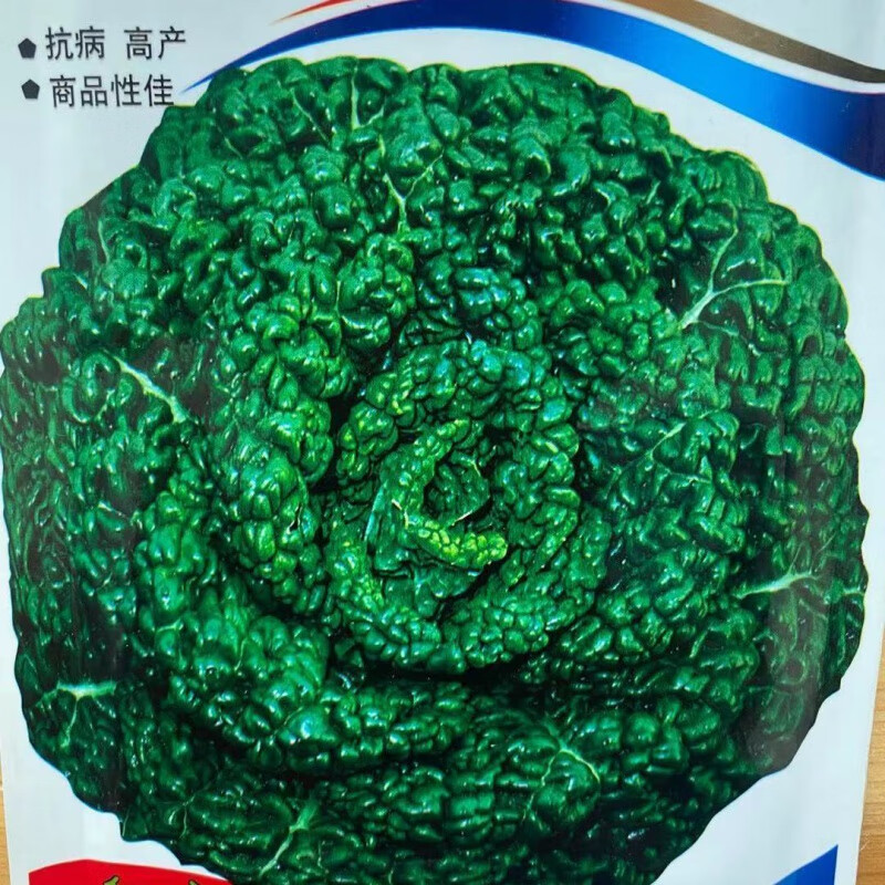 黑心乌菜种子黑油菜乌塌菜种子耐寒清脆爽口秋季播泡泡菜蔬菜种子 黑心乌种子【一包】约1188粒高性价比高么？