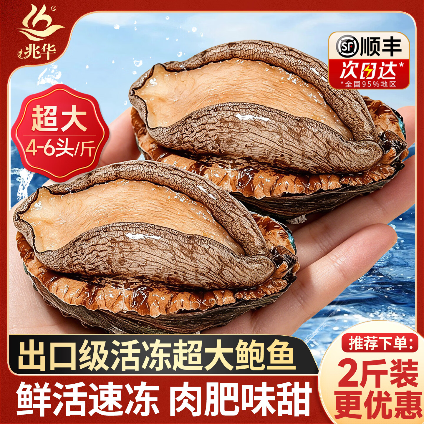 兆华新鲜冷冻大鲍鱼超大号鲜活生鲜净重500g  火锅烧烤海鲜贝类食材 【特大号鲍鱼500g】8-10头