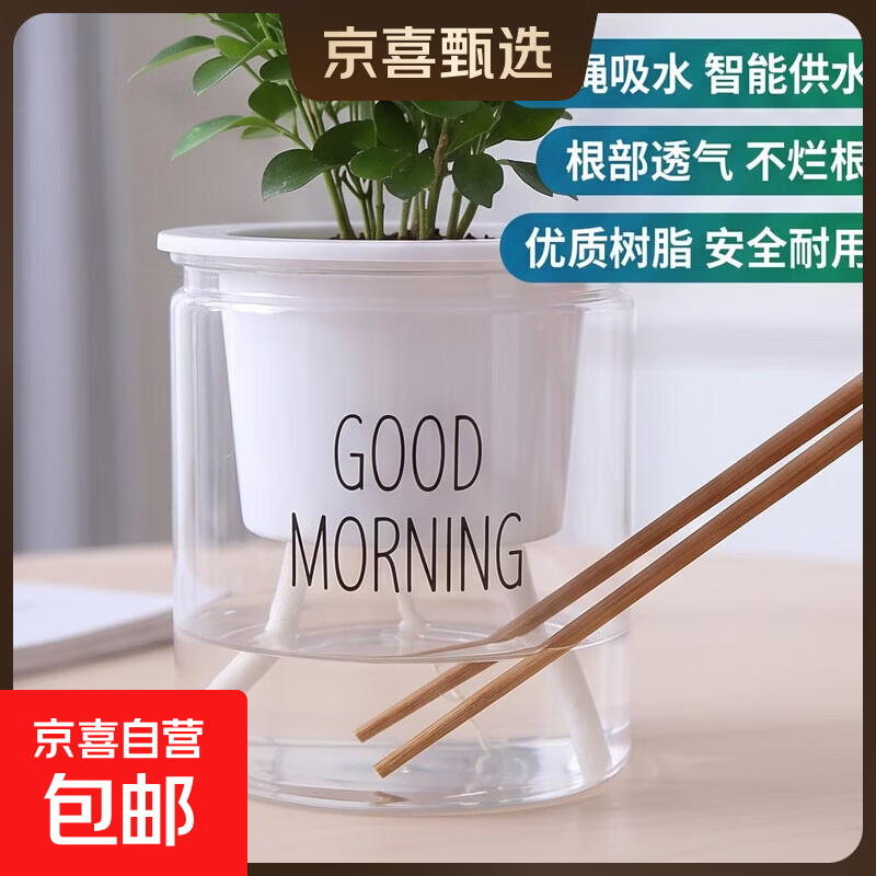 【花瓶】懒人水培绿植九里香绿萝文竹室内易养净化空气花卉盆栽 早安树脂花盆1套【花盆+内蓝+棉绳】