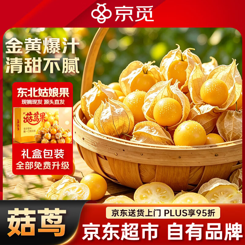 京觅东北姑娘果礼盒 1斤装 灯笼果黄菇娘洋菇茑 新鲜水果 源头直发