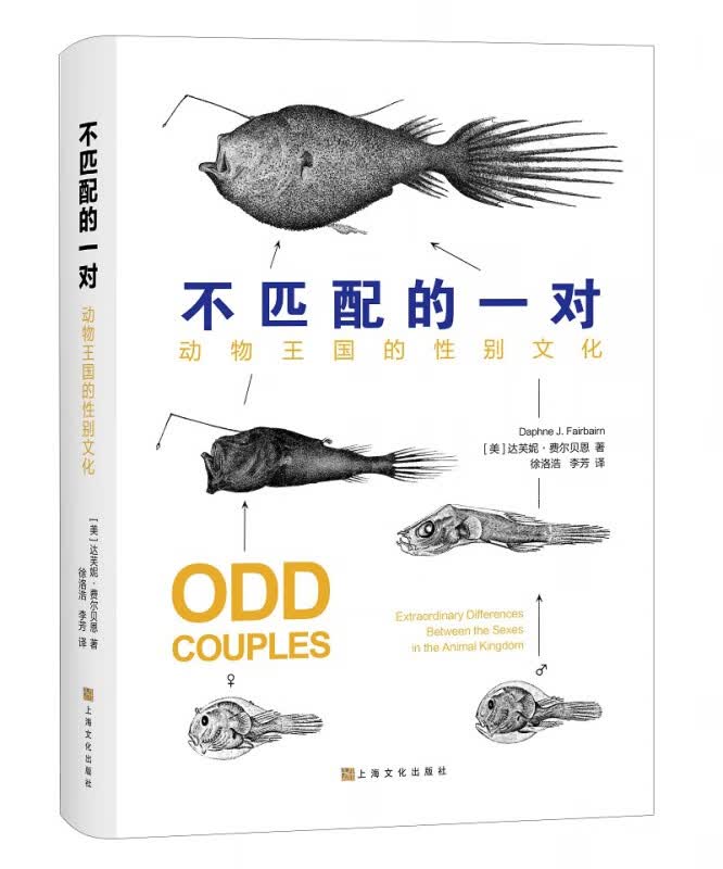 不匹配的一对：动物王国的性别文化