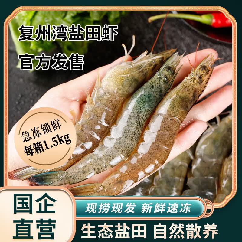正宗盐田虾大连海鲜特产复州湾盐田虾鲜活速冻大虾急速锁鲜 复州湾盐田虾【40-50】 1500g(净重)