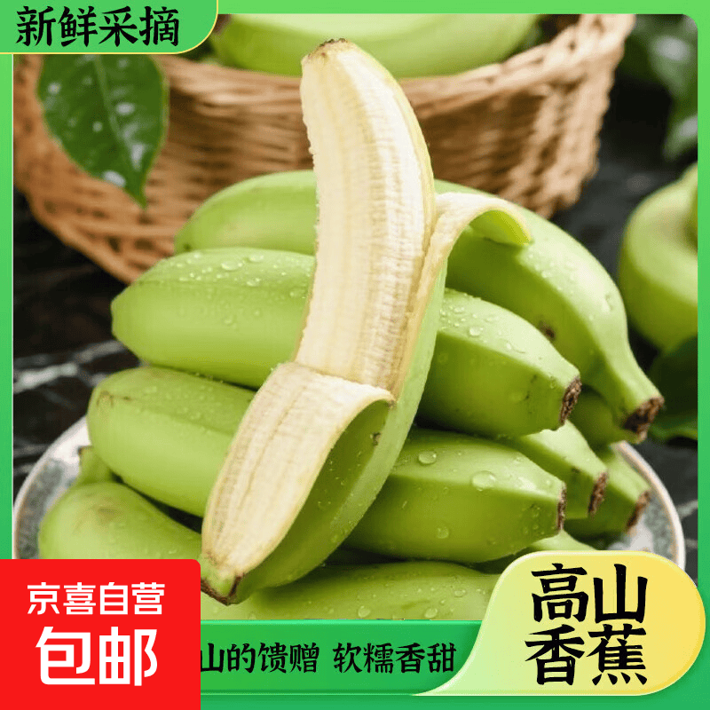 京喜加【现摘现发】高山香蕉正宗当季水果青皮现摘绿皮新鲜应季骐鲜园16 高山香蕉带箱2斤