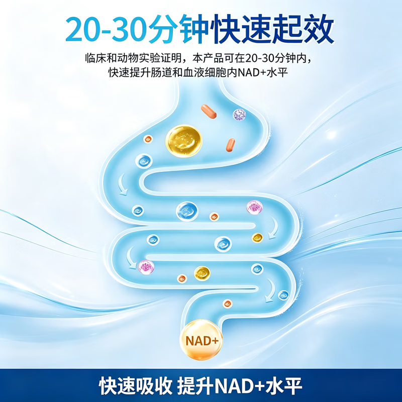 VITOPHARM千金瓶NAD+nmn烟酰胺辅酶q10姜黄素pqq白藜芦醇17合一澳洲进口 [3瓶周期装] 60粒*3瓶