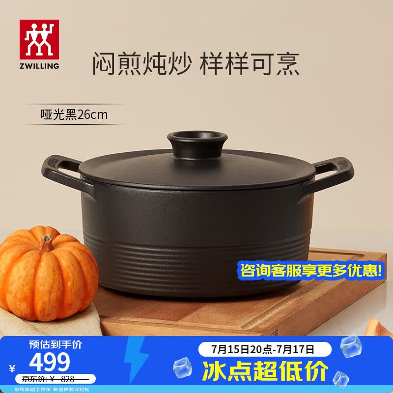 双立人（ZWILLING）珐琅锅汤锅炖锅Dragon龙铸铁锅煲汤锅炖肉锅锅具 哑光黑（适合4-6人家庭） 26cm