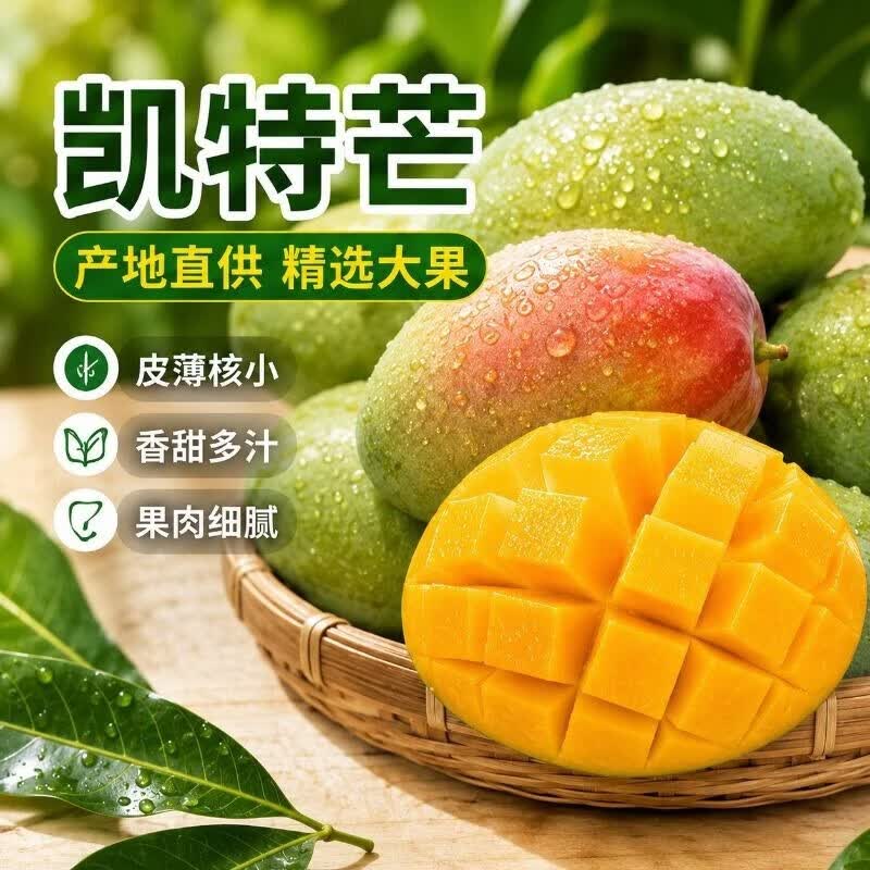 萧阿姨凯特芒 现摘大芒果新鲜水果时令芒果香甜多汁孕妇水果生鲜芒果 净重4.5-5单果300g+