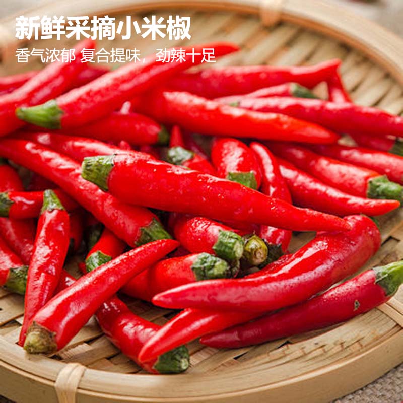 莎凰新鲜小米河南辣椒辣够辣够味香味浓稠调味品新鲜辣椒源头直发 小米辣 净重2斤