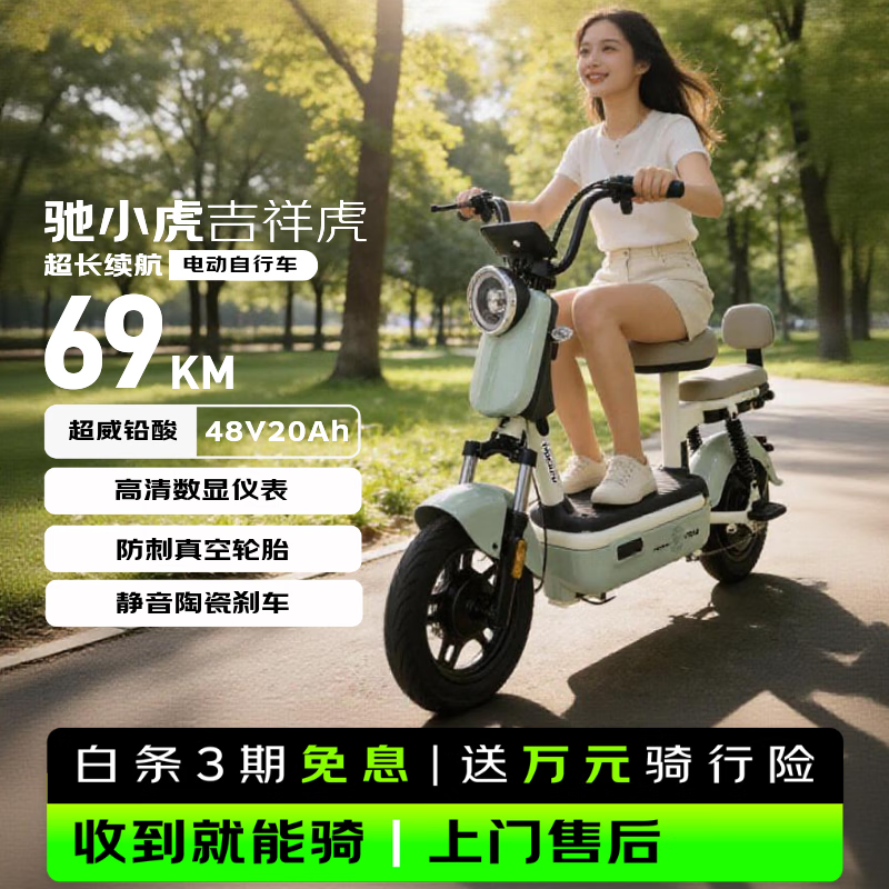 驰小虎电动自行车 如意虎新国标电动车电动自行车48V20Ah电池长续航电瓶车代步车电车家用成人电车绿