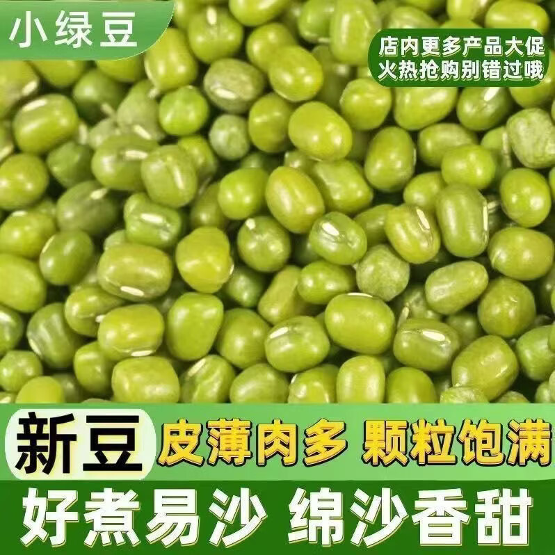 同仁堂正宗胖东来同款东北绿豆粒新货皮薄易出沙解暑绿豆汤五谷杂粮干货 东北新货绿豆 1000g*1袋 两斤装