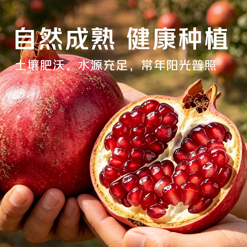 勿语四川大凉山会理突尼斯软籽石榴特大果礼盒 产地直发新鲜红石榴 3斤精品中果3-6两