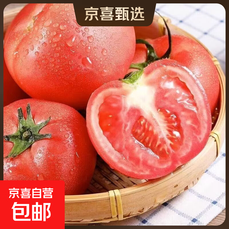 普罗旺斯生吃西红柿现摘现发沙瓤番茄新鲜西红柿自然熟整箱批发 5斤带箱普罗旺斯净重4.5斤 4.5斤