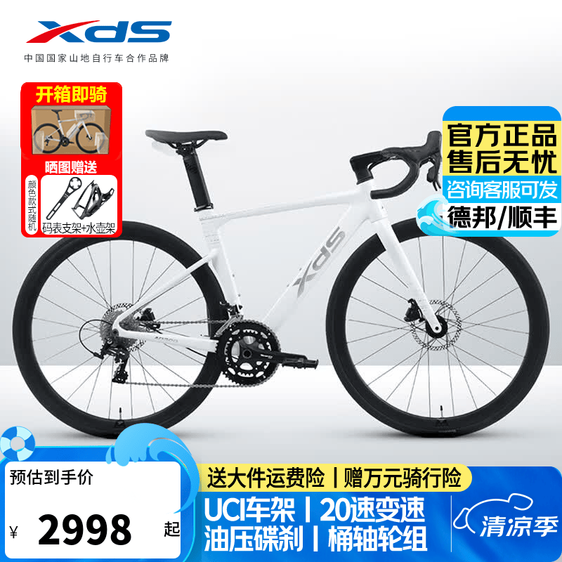 喜德盛公路自行车AD300铝架20速油压碟刹破风弯把竞技单车 雪山白 【整车发货】 510mm(适合身高170-180cm)