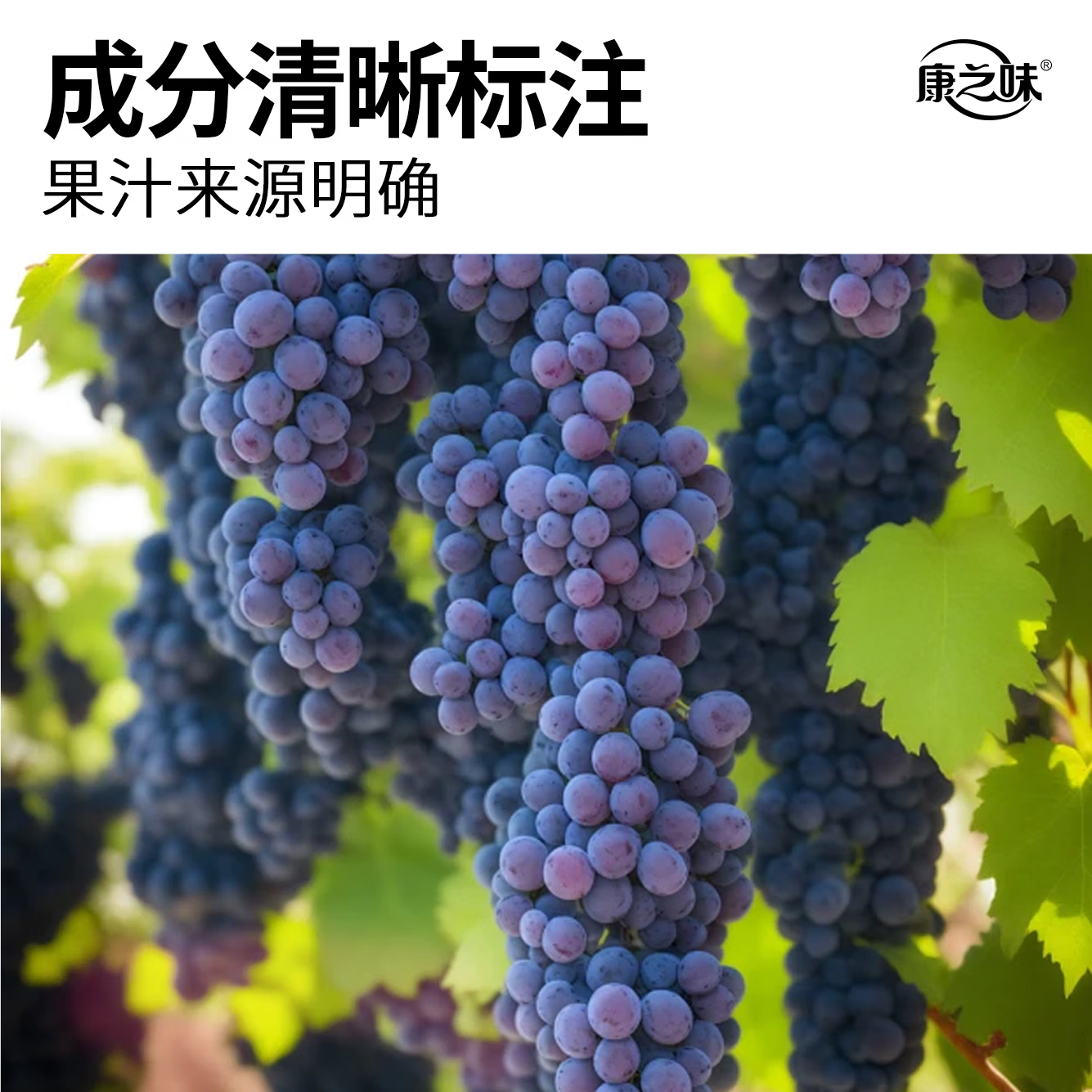康之味马蹄爽送礼0添加真实荸荠果肉果味聚会饮料果汁 1L葡萄汁*2瓶【9月25日到期】