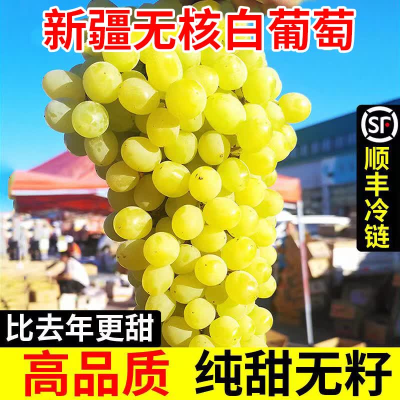 寻疆乐果新疆吐鲁番无核白葡萄精品脆甜多汁新鲜水果马奶提无籽青提 带箱5斤【净重4.5斤】顺丰直达
