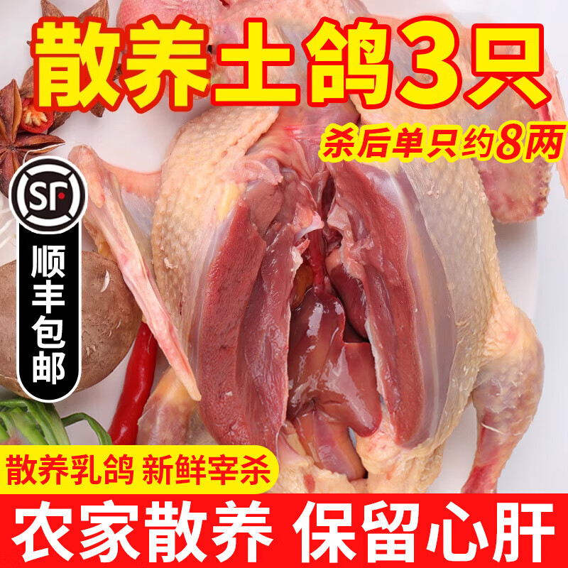 岽鲜 新鲜鸽子肉 新鲜冷冻农家老鸽子土鸽 煲汤烧烤食材 乳鸽生鲜 鸽子3只（每只净400g）