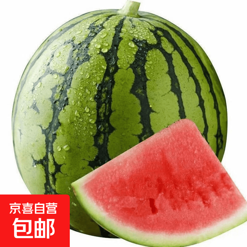 头茬麒麟美都西瓜现摘现发新鲜西瓜无籽瓜老人孕妇新鲜水果一整箱 净重8-9斤【新鲜现摘】
