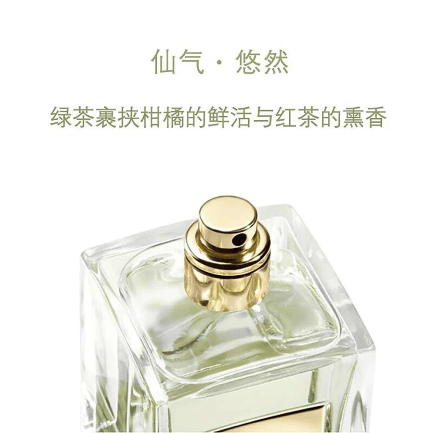 ARMANlPRIVE玉龙茶香淡香水100ml王嘉尔同款木质香水礼盒生日礼物 玉龙茶香淡香水100ml