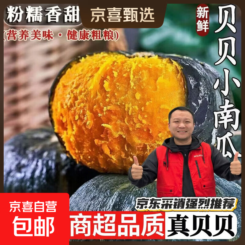 【正宗贝贝南瓜】板栗味小南瓜宝宝辅食代餐新鲜粉糯甜老南瓜批发 贝贝南瓜 5斤 净重
