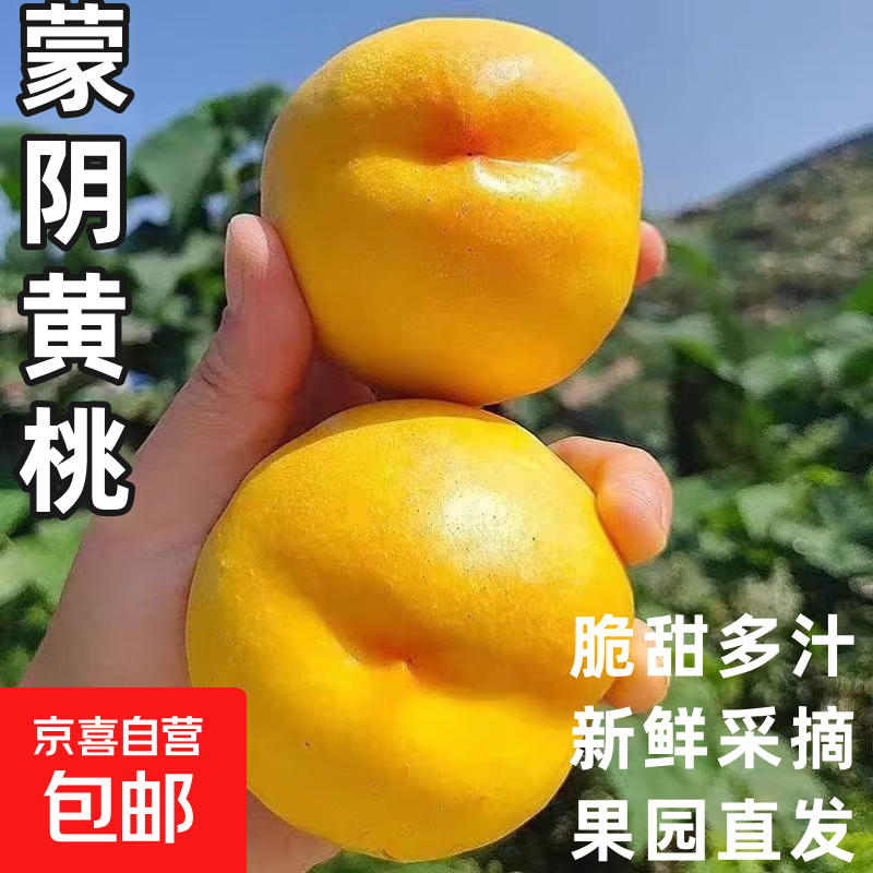 山东蒙阴黄桃蜜油桃脆甜桃子新鲜水果当季水果爆汁应季整箱批发 带箱5斤净重4.6斤（单果60g+）