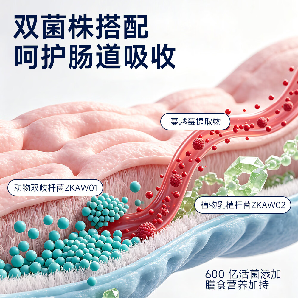 巢生源国和堂活性叶酸益生菌粉高含量营养乳杆菌男女孕前备孕复合维生素 30袋*1盒