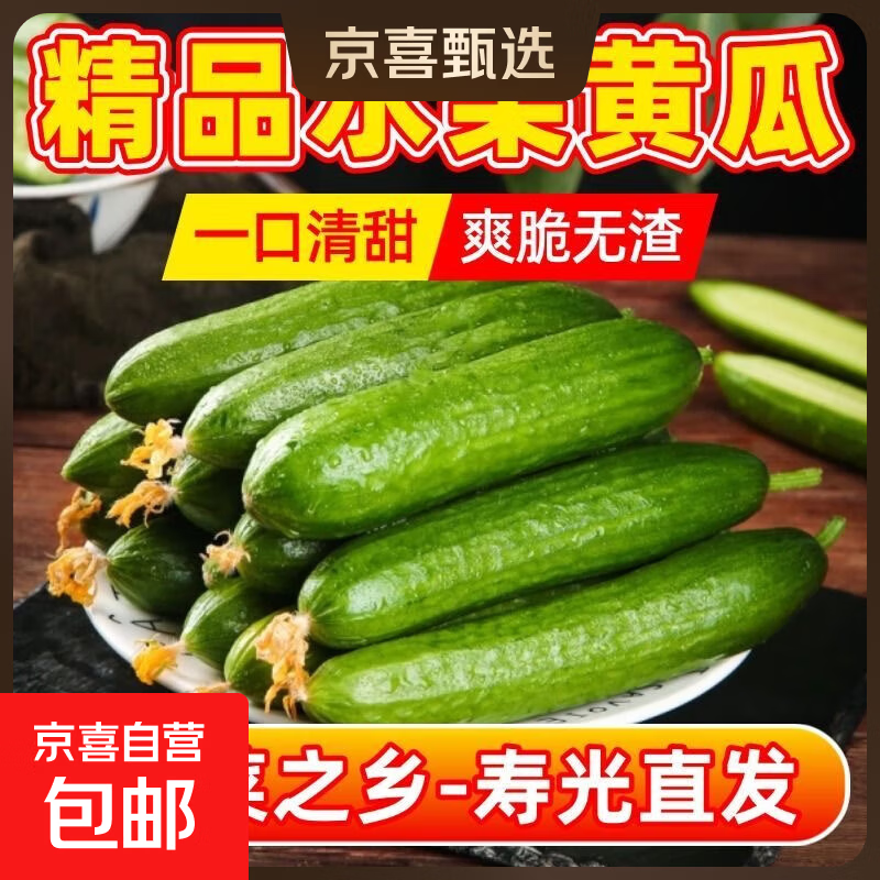 寿光精品水果小黄瓜新鲜采摘无刺脆甜多汁坏果包赔当季美味 精品水果黄瓜带箱4斤净重3.7斤单果70g+